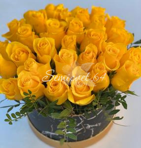 Яркое впечатление